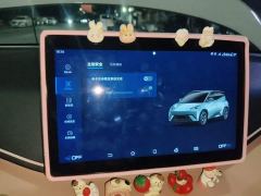BYD Seagull 305km Freedom Edition - ფოტო 20