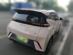 BYD Seagull 305km Freedom Edition - ფოტო 4