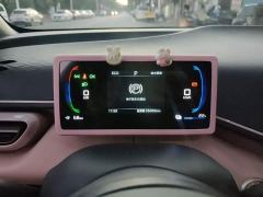 BYD Seagull 305km Freedom Edition - ფოტო 7