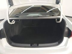 Volkswagen Sagitar 300TSI DSG Excellence Edition - photo 4