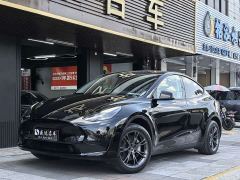 Tesla Model Y Rear-Wheel Drive - photo 1