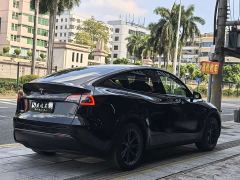 Tesla Model Y Rear-Wheel Drive - photo 4