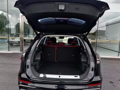 Hongqi HS5 2023 2.0T Qixiang Pro Edition - photo 10