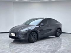 Tesla Model Y Long Range All-Wheel Drive Launch Edition - ფოტო 1
