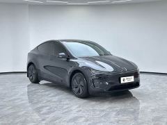Tesla Model Y Long Range All-Wheel Drive Launch Edition - ფოტო 2