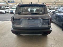 Great Wall Dachshund 1.5T DCT Border Collie Edition - ფოტო 10
