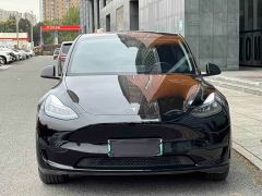 Tesla Model Y Rear-Wheel Drive - photo 1