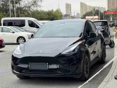 Tesla Model Y Rear-Wheel Drive - photo 3