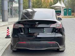 Tesla Model Y Rear-Wheel Drive - photo 5