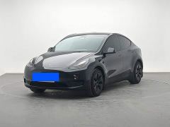Tesla Model Y Rear-Wheel Drive - ფოტო 1