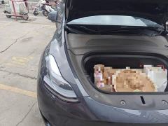 Tesla Model Y Rear-Wheel Drive - ფოტო 18