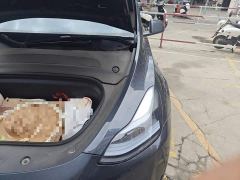 Tesla Model Y Rear-Wheel Drive - ფოტო 19