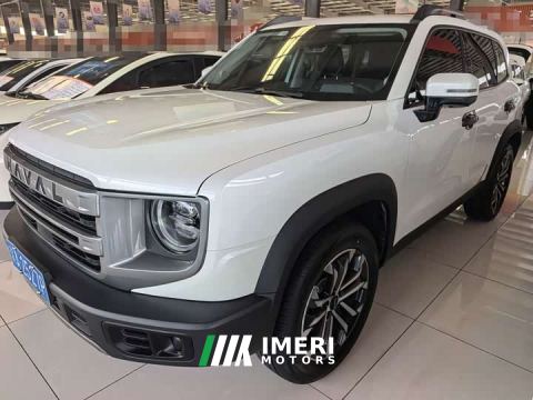 2024 Great Wall Dachshund 1.5T DCT Border Collie Edition - автомобиль из Китая