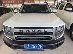 Great Wall Dachshund 1.5T DCT Border Collie Edition - ფოტო 2