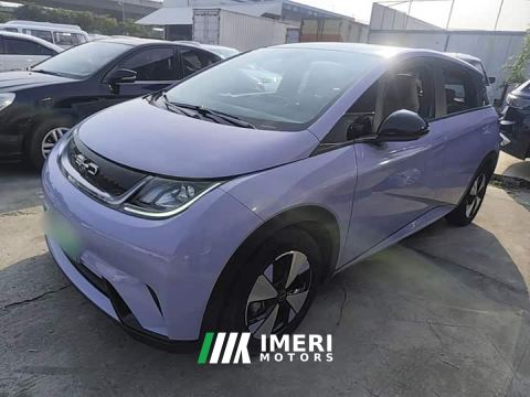 2023 BYD Dolphin 420km Fashion Edition - автомобиль из Китая
