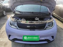 BYD Dolphin 420km Fashion Edition - фото 19