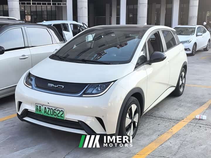 BYD Dolphin 420km Fashion Edition - ავტომობილი ჩინეთიდან