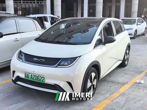 2024 BYD Dolphin 420km Fashion Edition - автомобиль из Китая