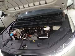 BYD Yuan UP 401KM Exceed - photo 19