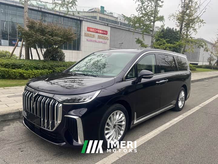Voyah Lantu Dreamchaser Low Carbon Edition Family