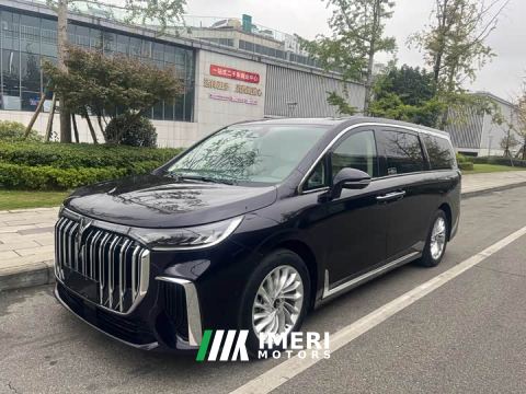 2022 Voyah Lantu Dreamchaser Low Carbon Edition Family - car from China