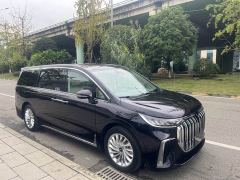 Voyah Lantu Dreamchaser Low Carbon Edition Family - photo 2