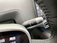 Li Auto L9 Max - ფოტო 16