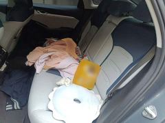 Geely Xingrui 2.0T Diesel Premium - ფოტო 18