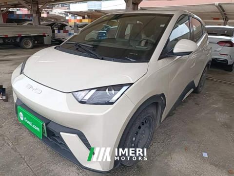 2025 BYD Seagull 305km Vitality Edition