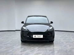 Tesla Model Y Rear-Wheel Drive - ფოტო 5