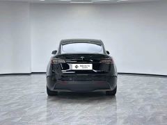 Tesla Model Y Rear-Wheel Drive - ფოტო 6