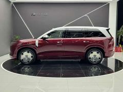 BYD Datang Pure Electric 850KM AWD Datang Prosperous Era Edition - фото 3
