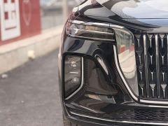 FAW Hongqi H9 2.0T 2WD Qixiang Luxury Business Edition 5-seater - photo 9