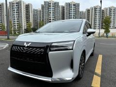 Wuling Starlight 730 New Energy PHEV 125km Luxury - photo 14