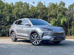 BYD Song Plus New Energy DM-i 110km Flagship Honors Edition - photo 3