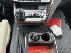FAW Hongqi Guoyue Sunflower 3.0T Executive Edition - photo 16