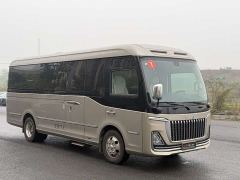 FAW Hongqi Guoyue Sunflower 3.0T Executive Edition - photo 4