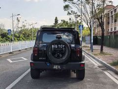 Tank 300 Off-Road Edition 2.0T Conqueror - ფოტო 4