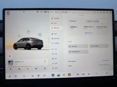 Nio Lerado L60 60kWh Rear-Wheel Drive - ფოტო 19