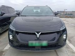 Voyah Lantu Zhiyin Four-Wheel Drive Global Edition - photo 2