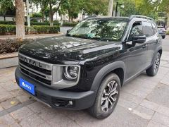 Great Wall Dachshund 1.5T DCT Border Collie Edition - ფოტო 1