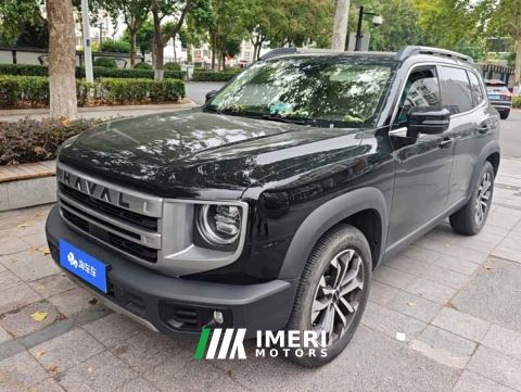2025 Great Wall Dachshund 1.5T DCT Border Collie Edition - автомобиль из Китая