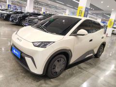 BYD Seagull Vitality Edition - фото 1