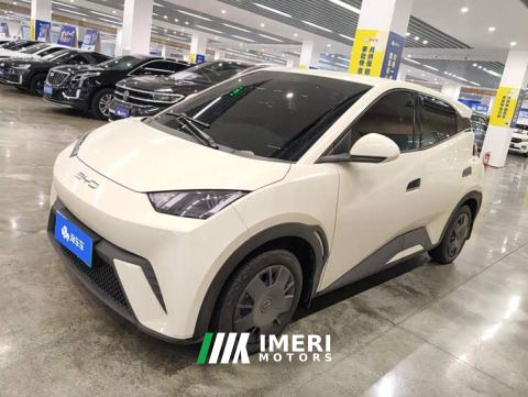 2024 BYD Seagull Vitality Edition - автомобиль из Китая