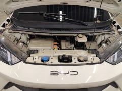 BYD Seagull Vitality Edition - фото 10