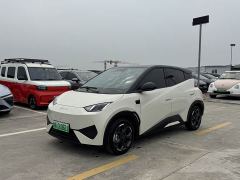 BYD Seagull Smart Driving Edition 305km Freedom Edition - ფოტო 1