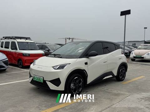 2025 BYD Seagull Smart Driving Edition 305km Freedom Edition - автомобиль из Китая