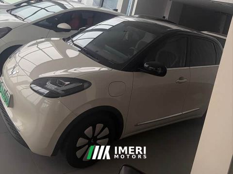 2024 Wuling Binguo 333km Lingxi Connected Edition - car from China