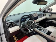 BYD Yuan Plus Champion Edition 510KM Transcendent - ფოტო 12