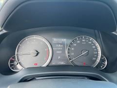Lexus RX Facelift 300 FWD Elite - ფოტო 5